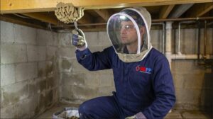 Professional mud dauber technician removes a nest from a basement while wearing full protective gear for safe and precise wasp control